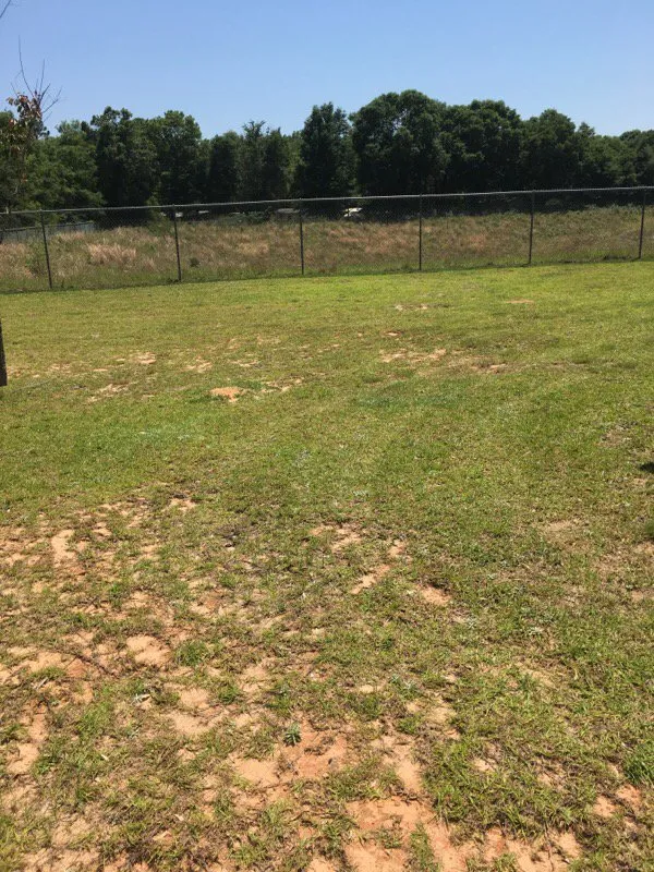 Custom lawn care service for outdoor upgrades in Florala, AL by Wrights Lawn Care Service