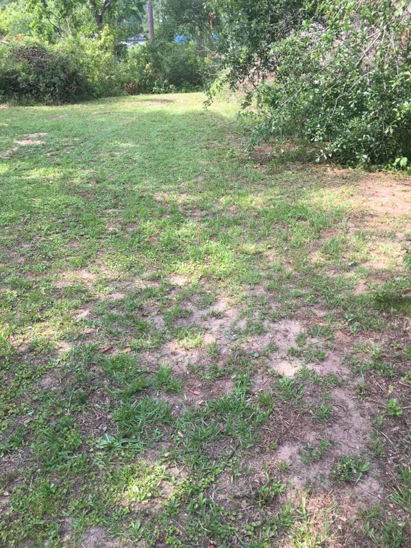 Expert outdoor landscaping in Florala, AL by Wrights Lawn Care Service