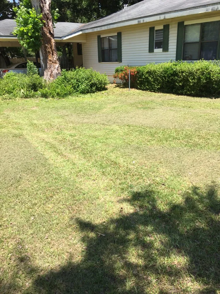 Expert garden landscaping for beautiful yards across Florala, AL - Wrights Lawn Care Service