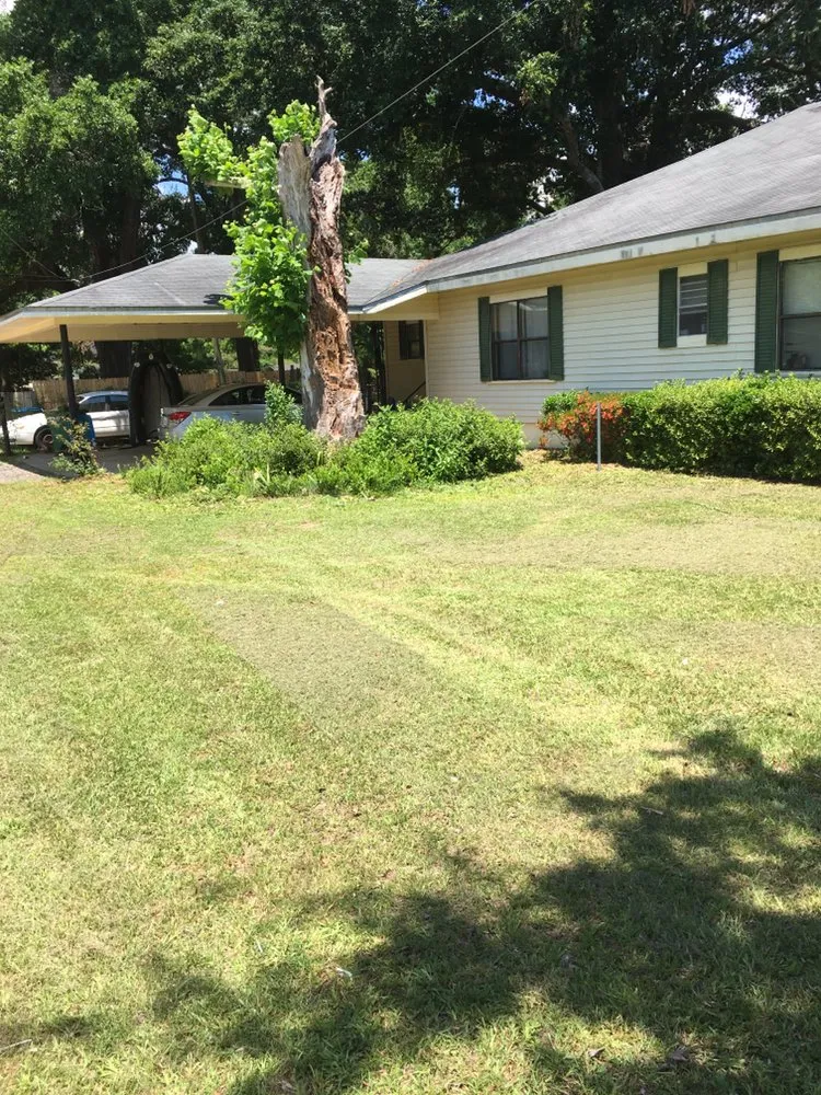 Affordable lawn care service in Florala, AL by Wrights Lawn Care Service