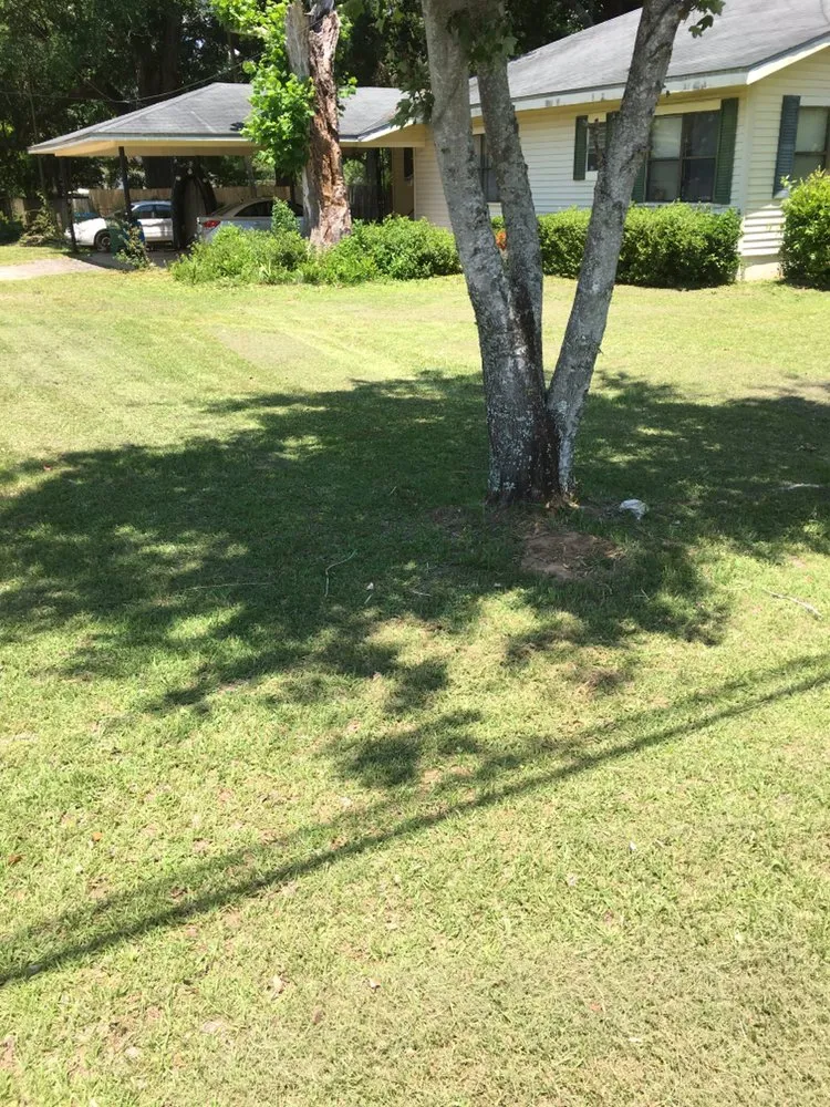 Expert landscaping services in Florala, AL - Wrights Lawn Care Service