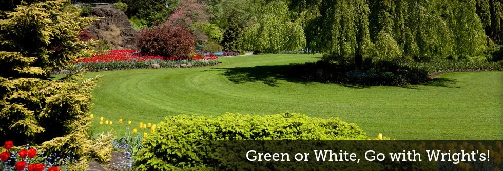 Local yard cleanup service in Taberg, NY - Wright's Lawncare and Landscaping