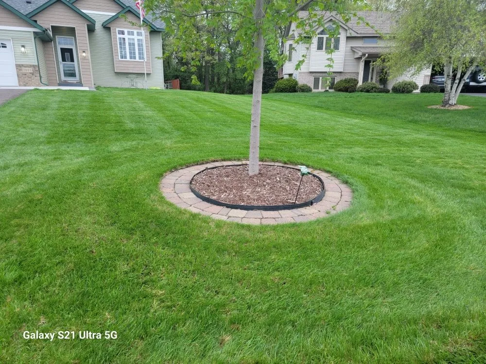Custom yard cleanup service for beautiful yards in Ham Lake, MN by Wrights Outdoor Services