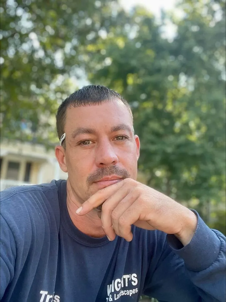 Reliable yard cleanup service in Culpeper, VA - Wrights Tree & Landscapes