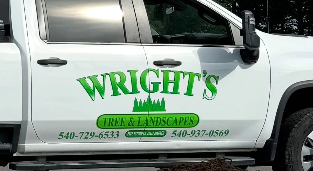 Expert landscaping services experts serving Culpeper, VA - Wrights Tree & Landscapes
