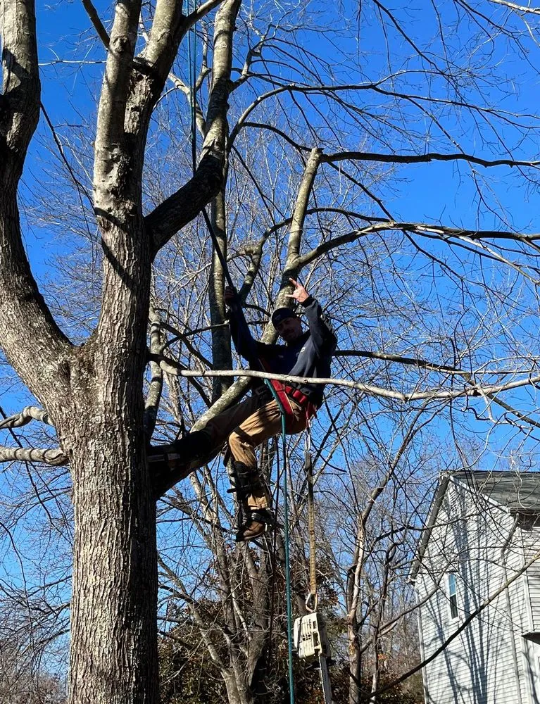 Reliable garden landscaping experts serving Culpeper, VA - Wrights Tree & Landscapes