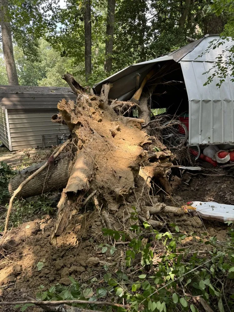 Local landscape installation near you in Culpeper, VA by Wrights Tree & Landscapes