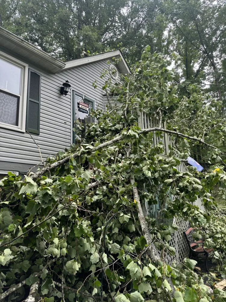 Affordable lawn care service in Culpeper, VA by Wrights Tree & Landscapes