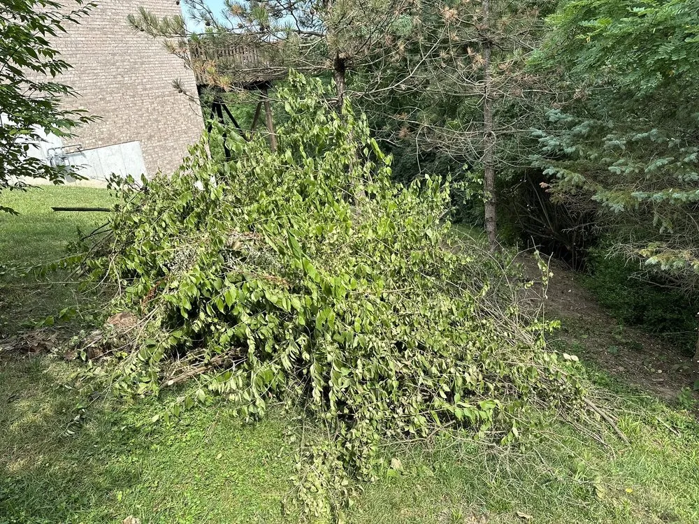 Top-rated garden landscaping for residential properties across Florence, KY - Wrightway Lawn & Landscaping