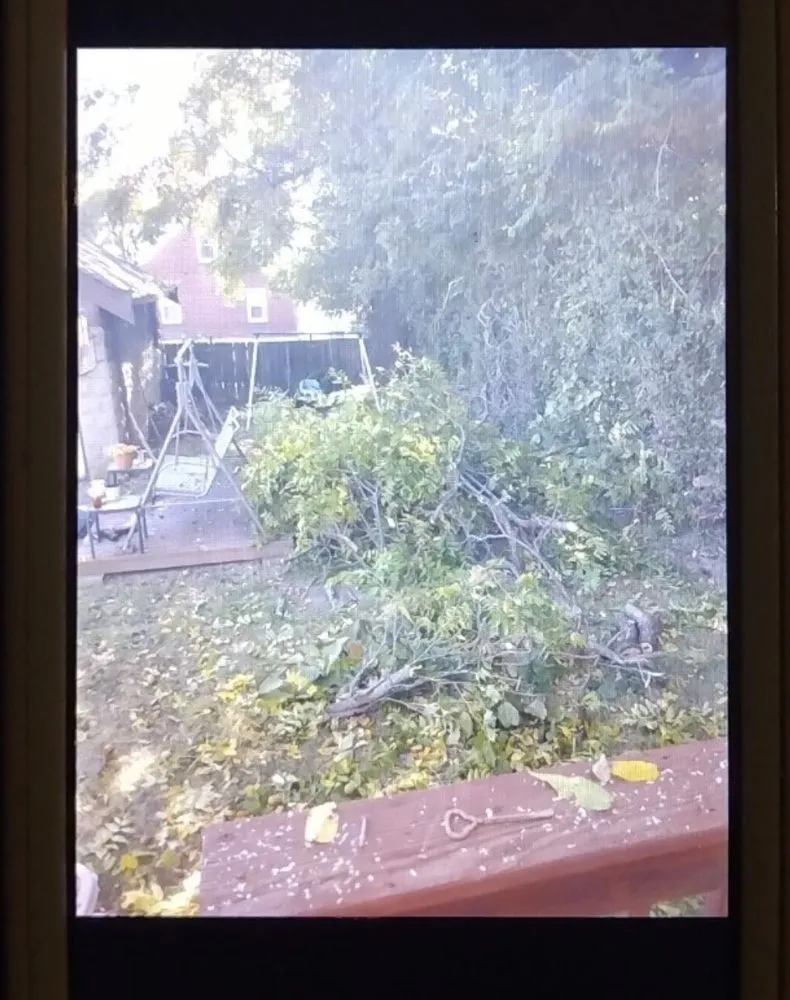 Top-rated landscaping services experts serving Florence, KY - Wrightway Lawn & Landscaping