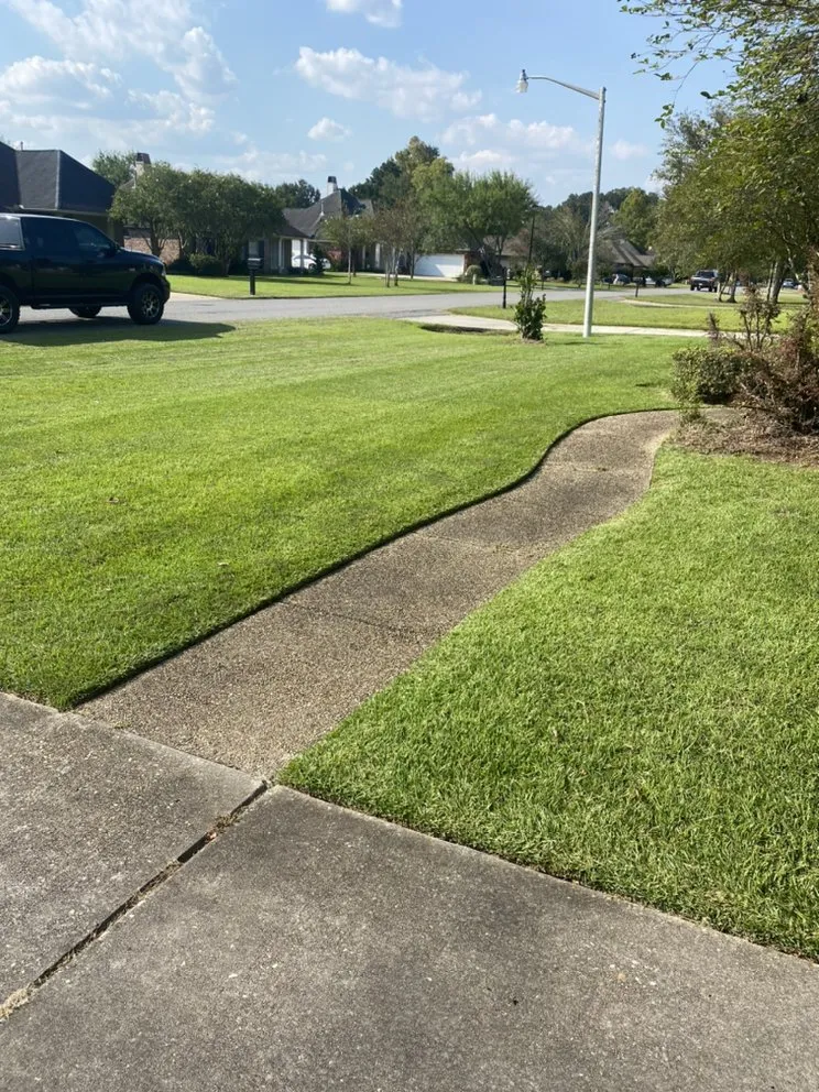 Top-rated yard cleanup service in Saint Amant, LA - Wrightway Lawn Service