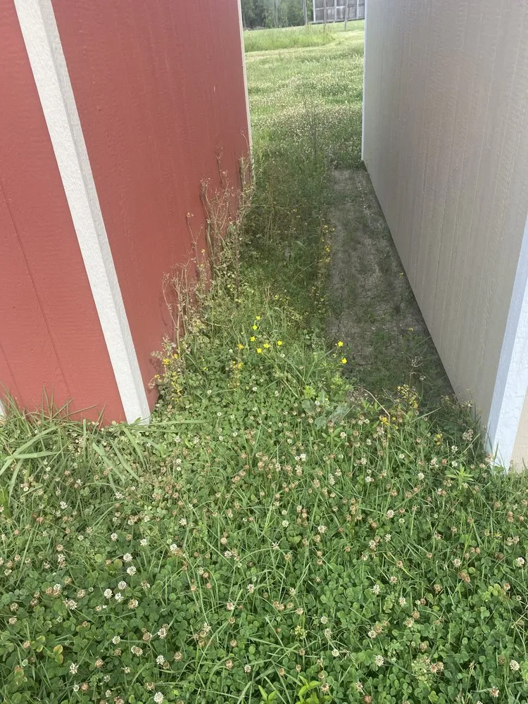Professional lawn care service for residential properties across Saint Amant, LA - Wrightway Lawn Service