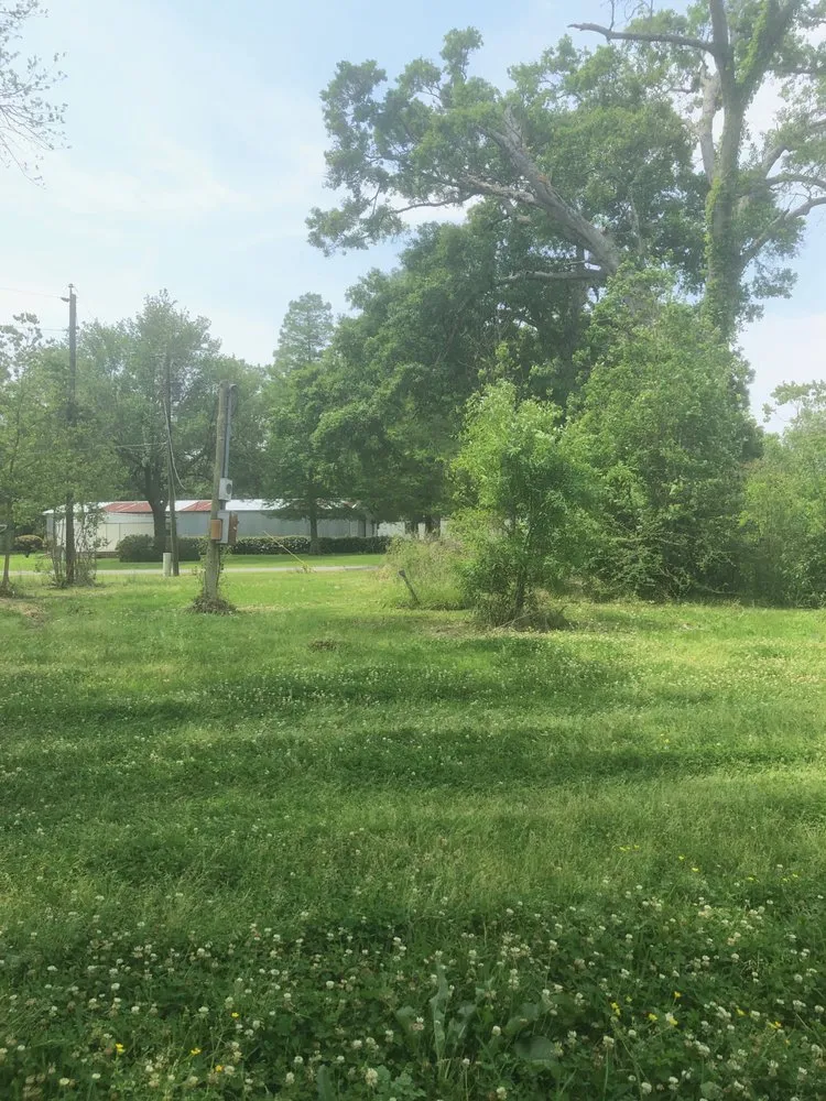Professional yard cleanup service for beautiful yards across Saint Amant, LA - Wrightway Lawn Service
