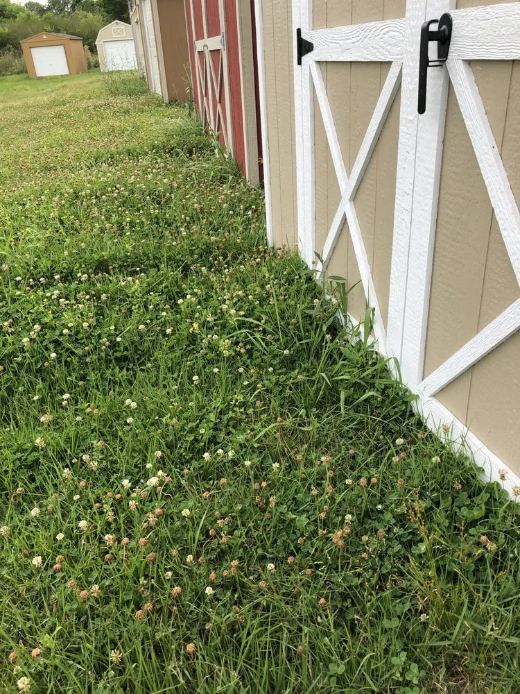 Affordable outdoor landscaping in Saint Amant, LA by Wrightway Lawn Service