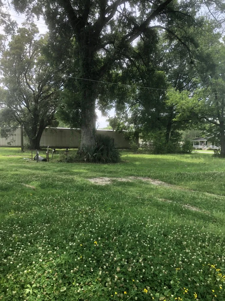 Trusted lawn care service in Saint Amant, LA - Wrightway Lawn Service