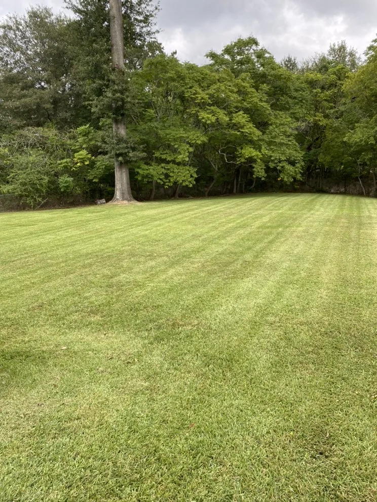 Top-rated garden landscaping for year-round maintenance across Saint Amant, LA - Wrightway Lawn Service