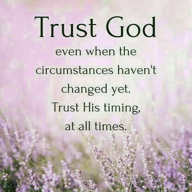 Affordable landscape design experts serving Memphis, TN - Wrts services