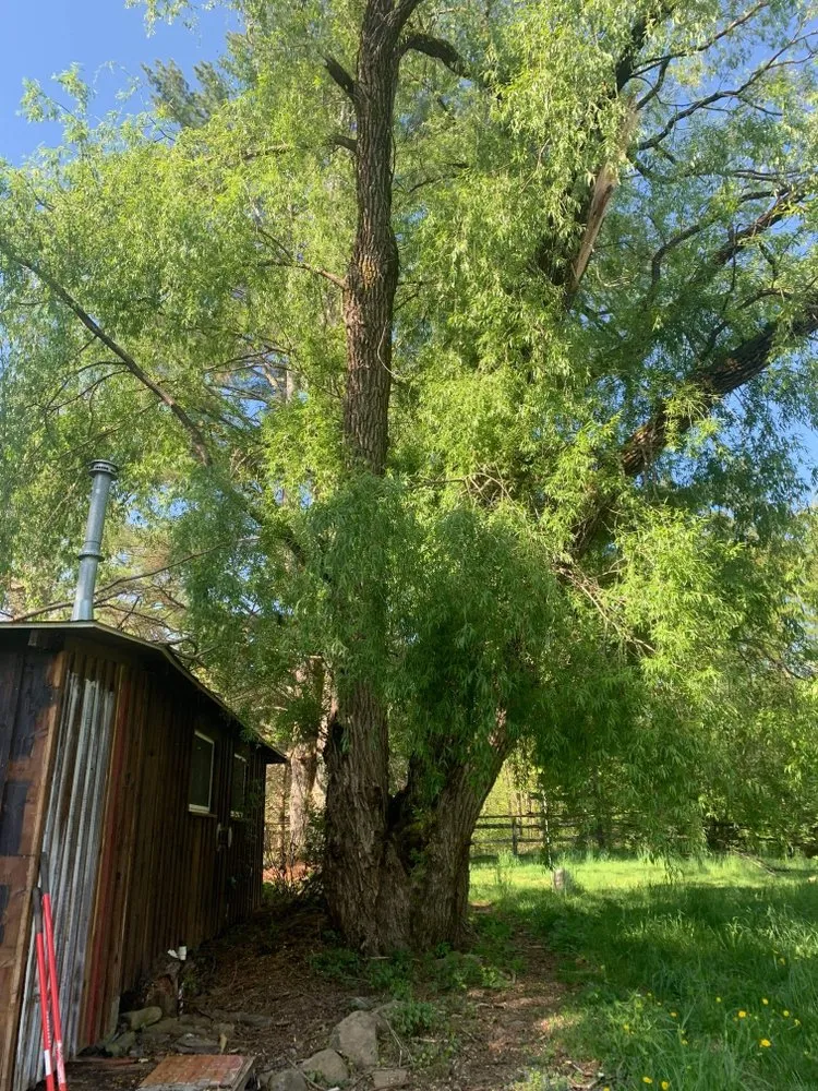 Top-rated landscape design for outdoor upgrades in Kerhonkson, NY by W&S Construction Services