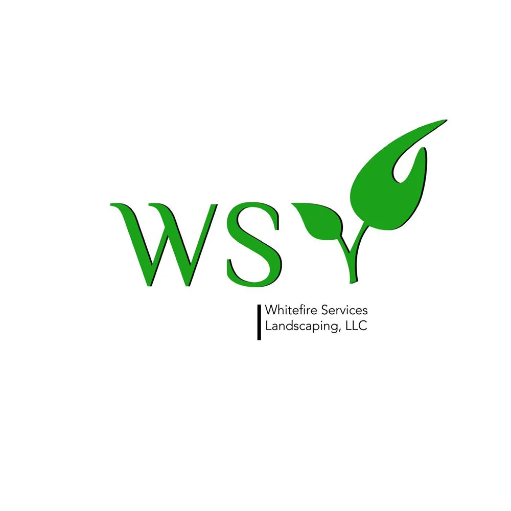 Reliable yard maintenance experts serving Peoria, AZ - WS Landscaping