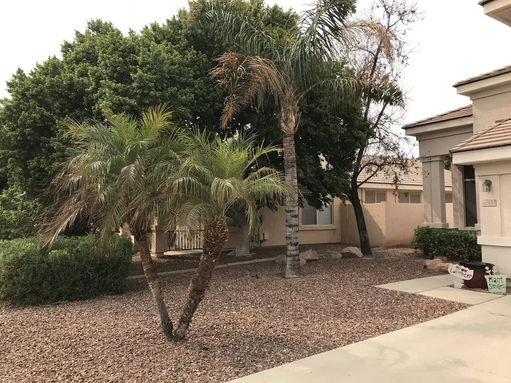 Custom landscape installation for outdoor upgrades across Peoria, AZ - WS Landscaping