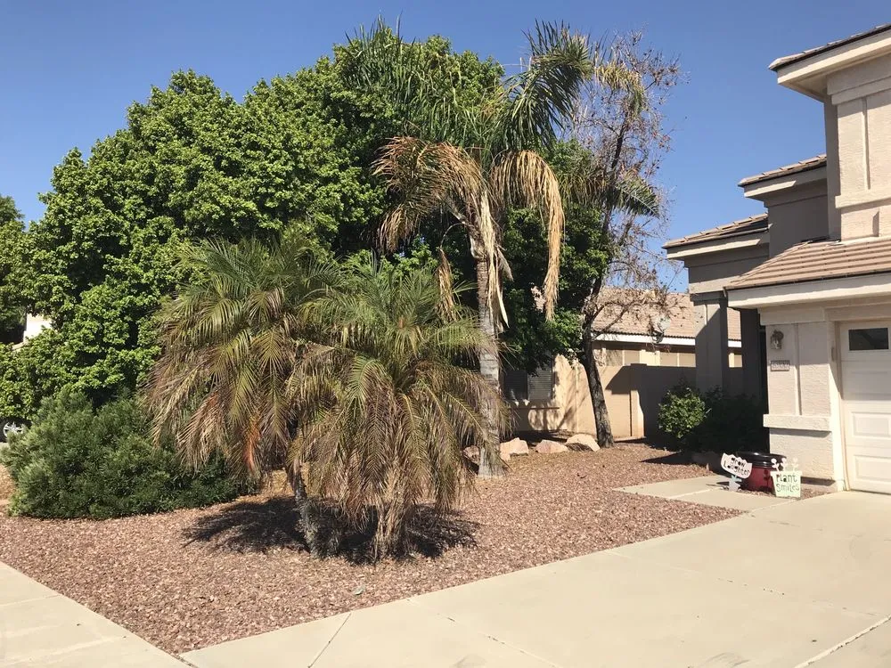 Reliable outdoor landscaping in Peoria, AZ by WS Landscaping