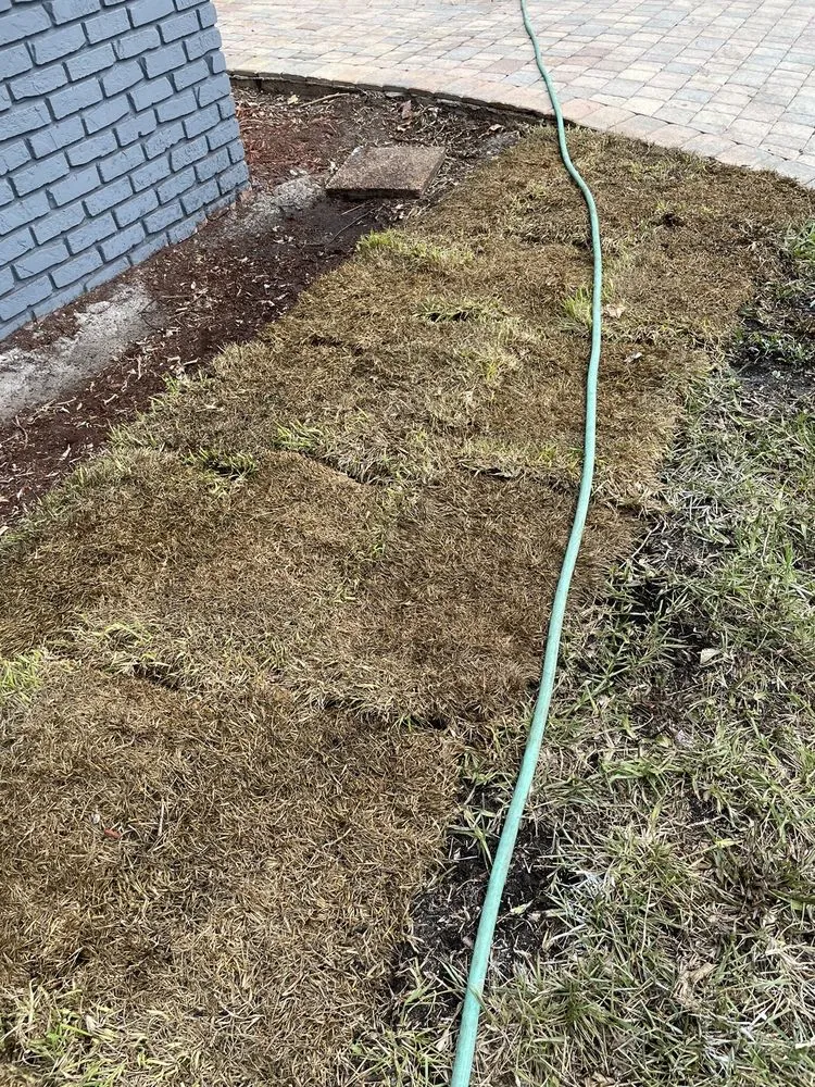 Expert landscaping services in Fort Lauderdale, FL - WS Sod & Landscaping