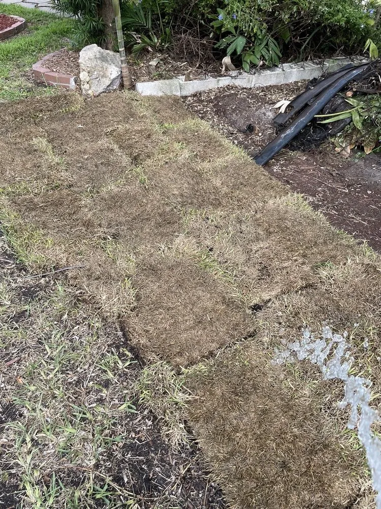 Top-rated landscaping services in Fort Lauderdale, FL - WS Sod & Landscaping