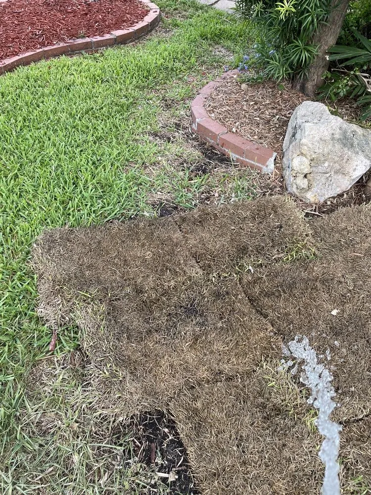 Reliable lawn care service for outdoor upgrades in Fort Lauderdale, FL by WS Sod & Landscaping