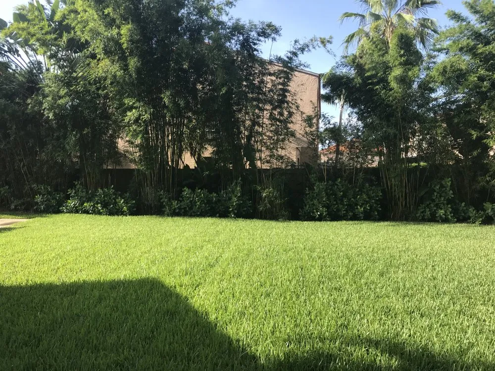 Expert yard maintenance in Fort Lauderdale, FL - WS Sod & Landscaping