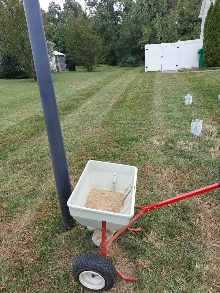 Expert lawn care service in Charlotte, NC - W&Sons Lawn Care