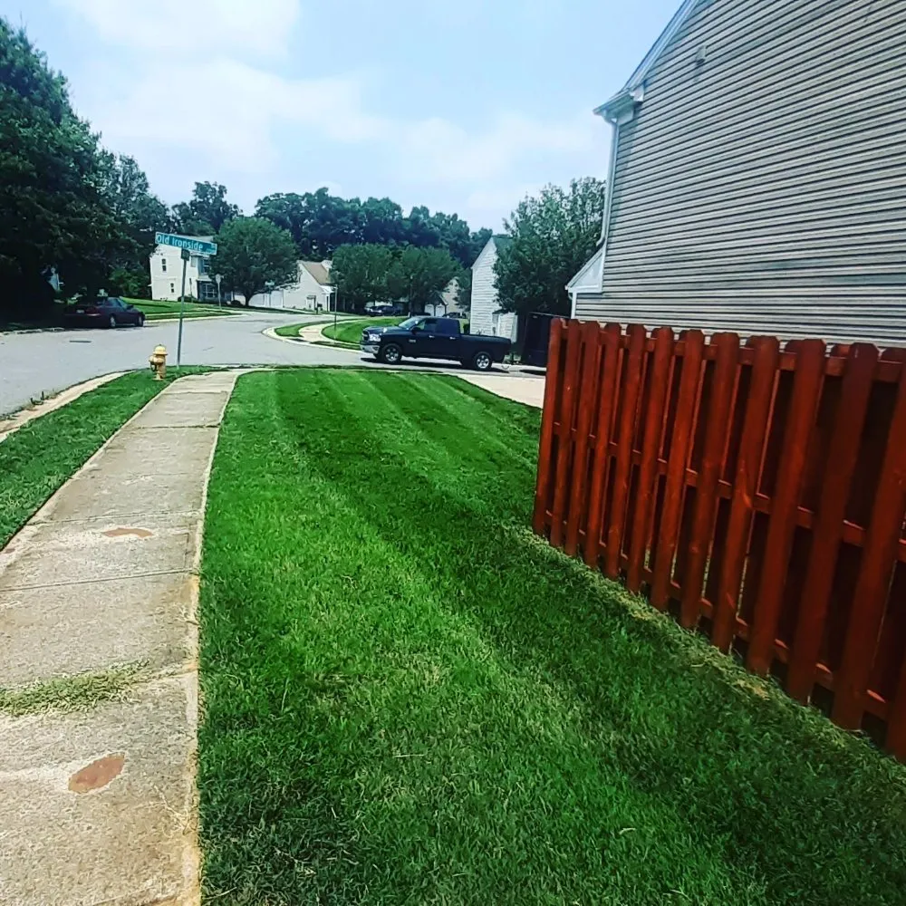 Expert landscape installation for homes in Charlotte, NC by W&Sons Lawn Care