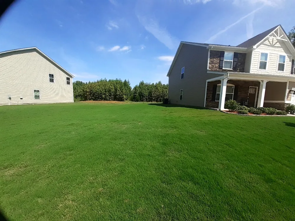 Affordable lawn care service experts serving Charlotte, NC - W&Sons Lawn Care