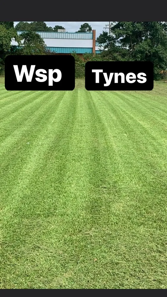 Reliable yard cleanup service for year-round maintenance in Newport News, VA by WSP Pressure Lawn And Tree Tree
