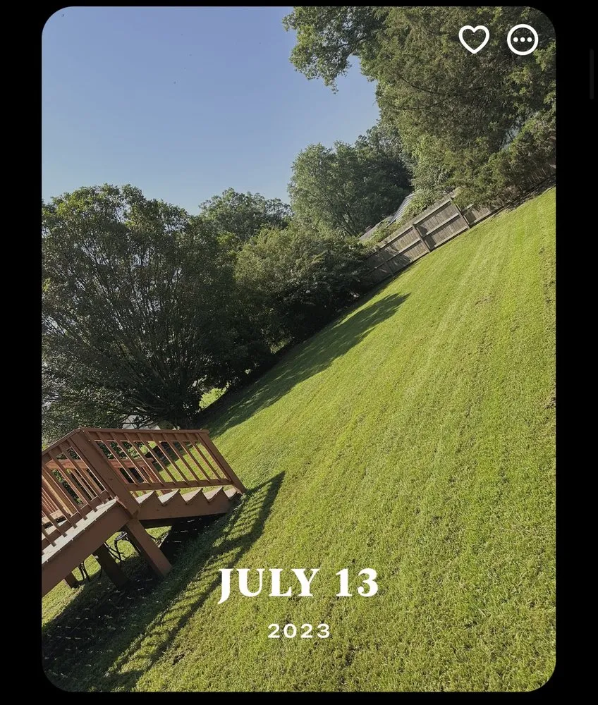 Custom residential landscaping in Newport News, VA by WSP Pressure Lawn And Tree Tree