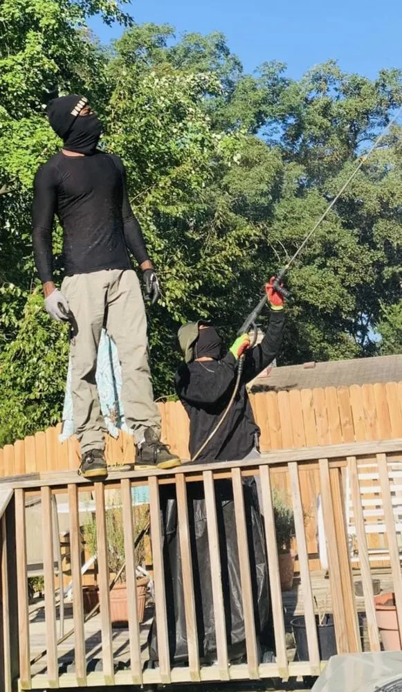 Expert residential landscaping for outdoor upgrades across Newport News, VA - WSP Pressure Lawn And Tree Tree