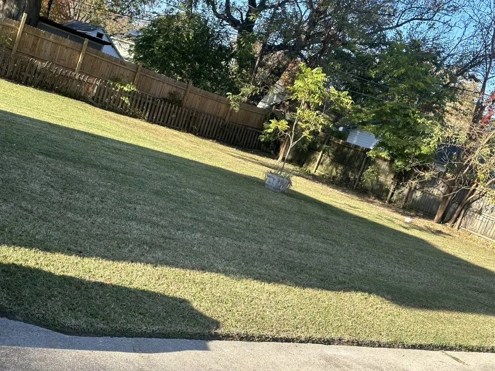 Professional landscaping services for homes in Newport News, VA by WSP Pressure Lawn And Tree Tree