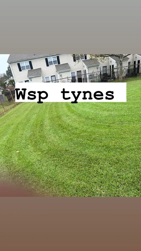 Custom outdoor landscaping in Newport News, VA by WSP Pressure Lawn And Tree Tree
