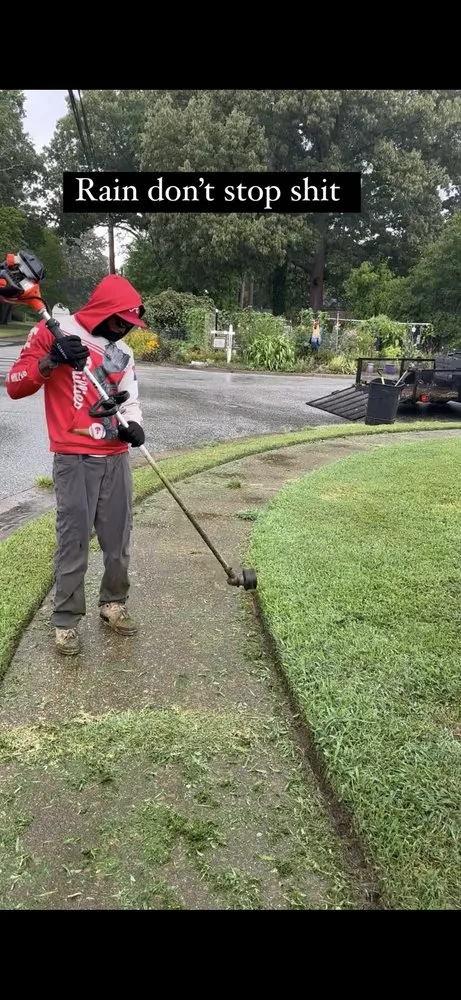 Local lawn mowing service for homes across Newport News, VA - WSP Pressure Lawn And Tree Tree