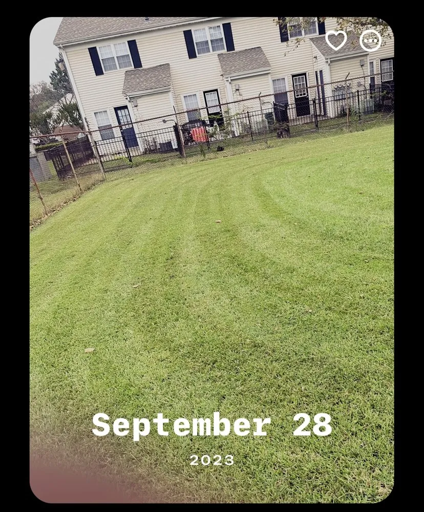 Local landscape design experts serving Newport News, VA - WSP Pressure Lawn And Tree Tree