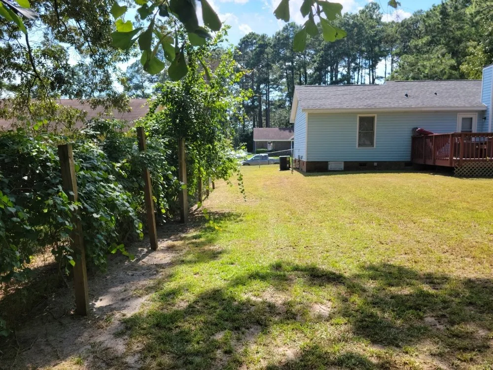 Custom landscape design in Lumberton, NC - WT & J Lawn Care Services