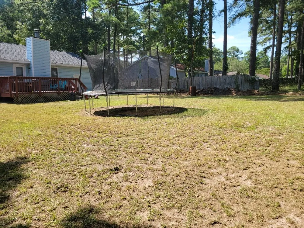 Affordable landscaping services in Lumberton, NC by WT & J Lawn Care Services