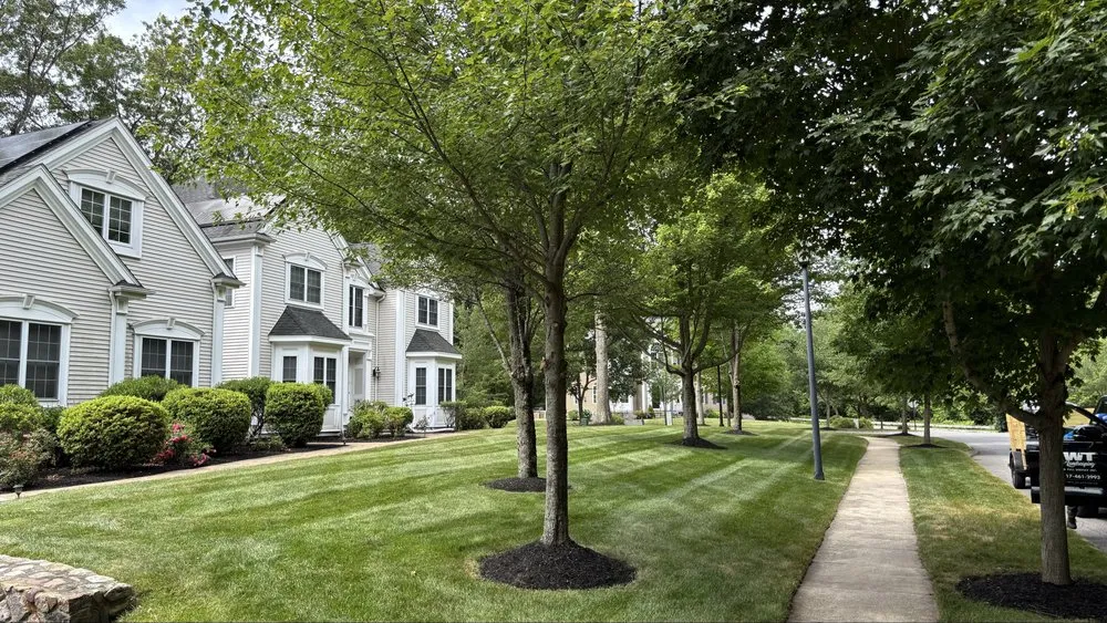 Affordable lawn care service in Haverhill, MA - WT Landscaping