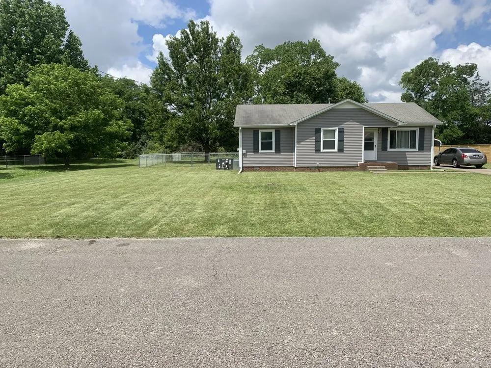 Expert yard cleanup service for year-round maintenance across Murfreesboro, TN - WTE Lawn Service