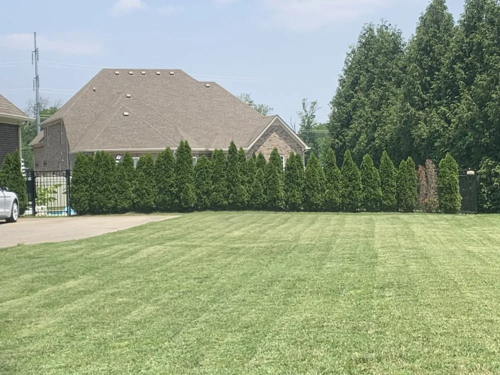 Affordable yard cleanup service near you in Murfreesboro, TN by WTE Lawn Service