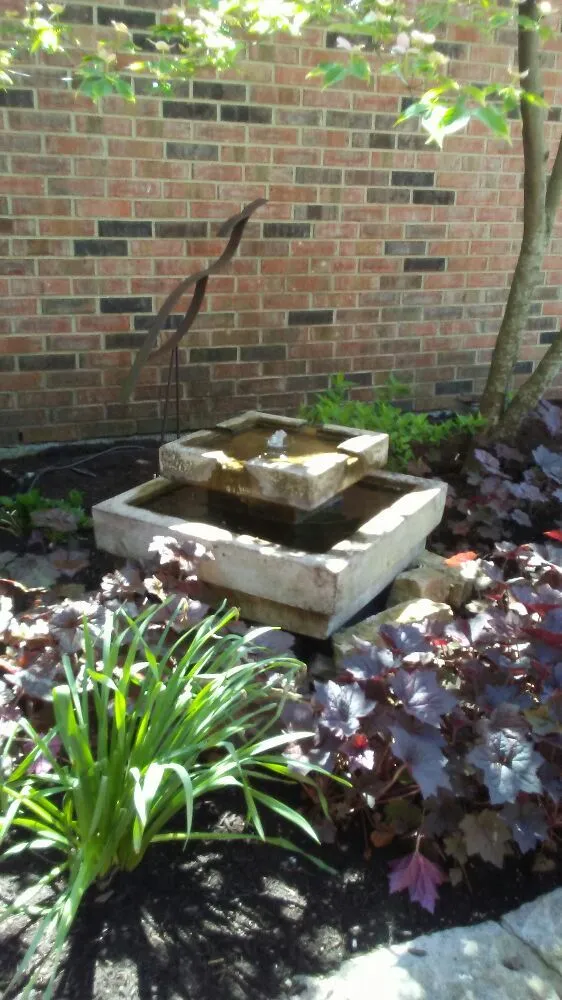 Top-rated yard cleanup service in Dayton, OH by WTM Property Maintenance