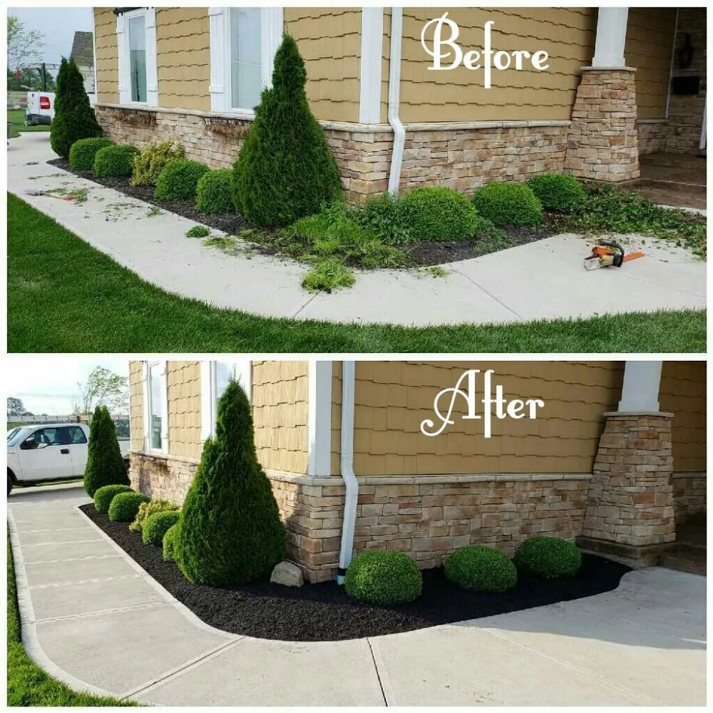 Expert yard maintenance in Dayton, OH - WTM Property Maintenance
