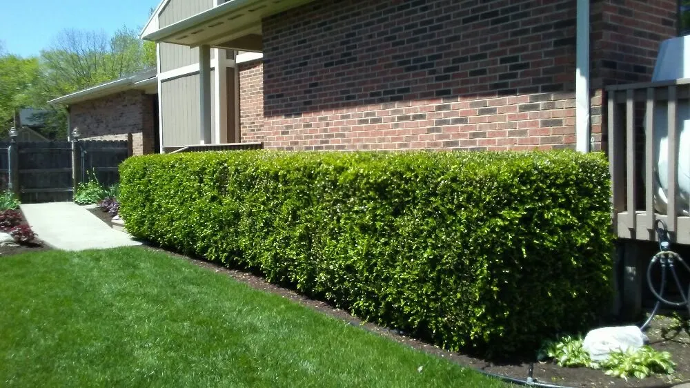Top-rated landscaping services in Dayton, OH by WTM Property Maintenance