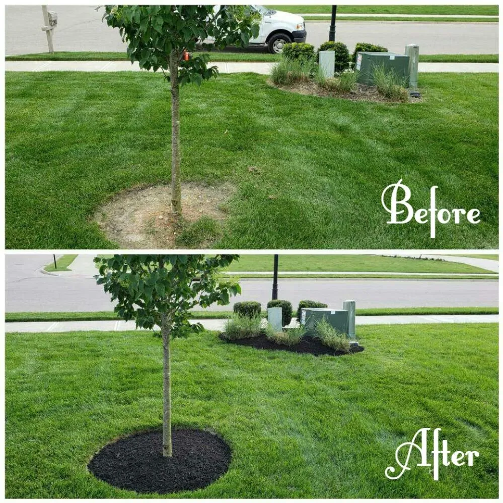 Expert yard cleanup service in Dayton, OH - WTM Property Maintenance