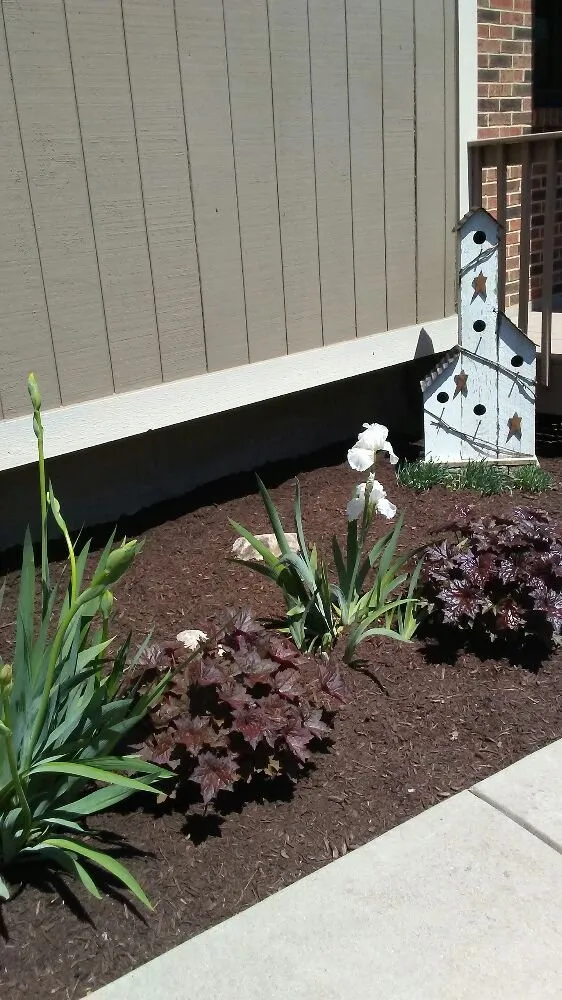 Reliable landscape design near you in Dayton, OH by WTM Property Maintenance