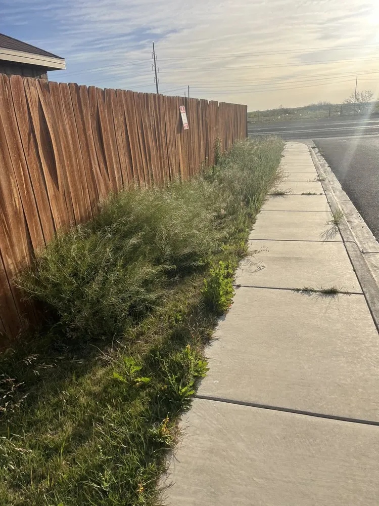 Top-rated residential landscaping in Odessa, TX - WTX Get-R-Done